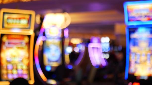 magnumtogel Live Bingo Rooms Built for Speed