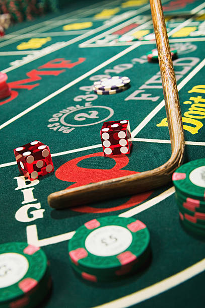 magnumtogel Flexible Chip Values